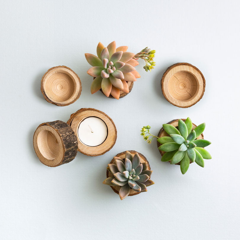 Succulent Wedding Favours - Wooden Holder Only